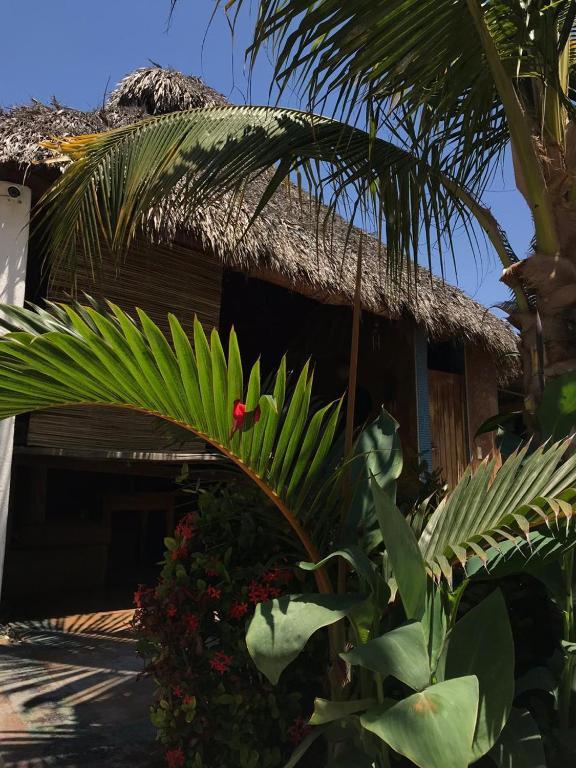 Condominio Agave Del Mar Coyuca de Benitez Bagian luar foto