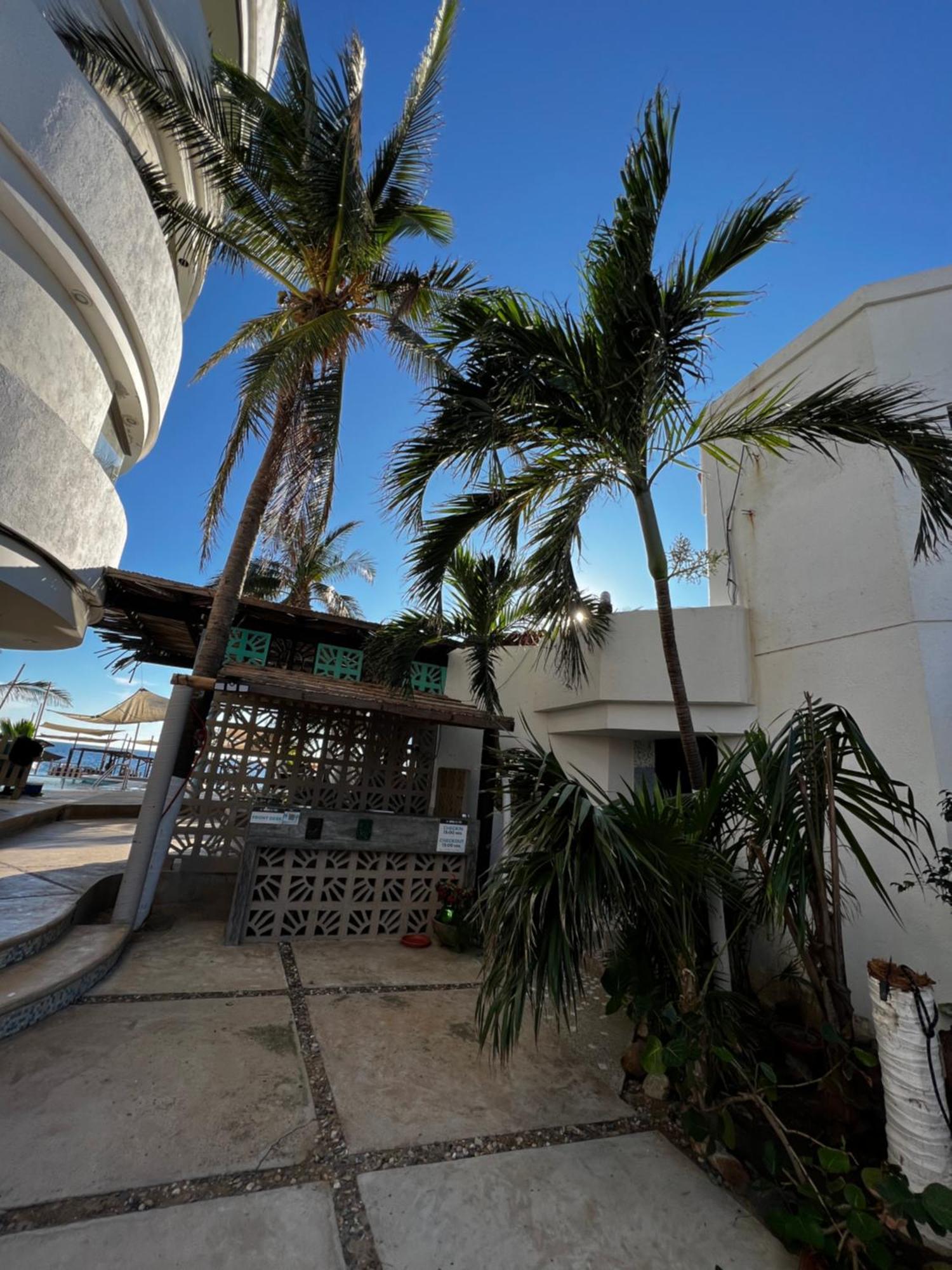 Condominio Agave Del Mar Coyuca de Benitez Bagian luar foto